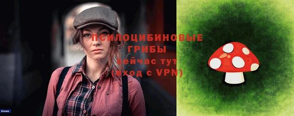 скорость Богородицк