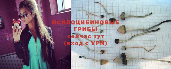 jwh Богородск