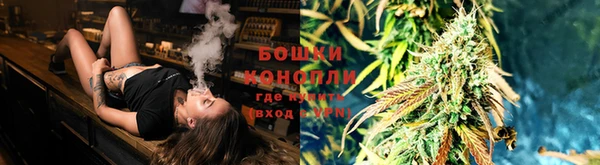 ешки Белокуриха