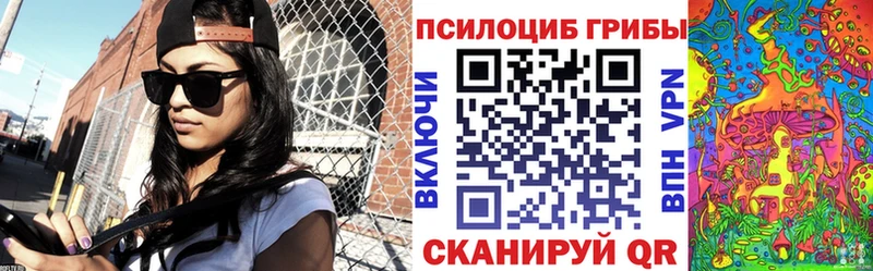 кракен tor  Красноармейск  Псилоцибиновые грибы мицелий 