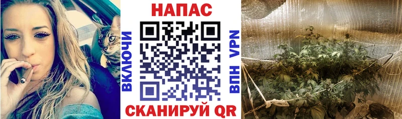 сколько стоит Красноармейск Бошки марихуана марихуана